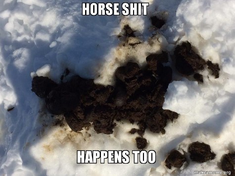 horseshitmeme
