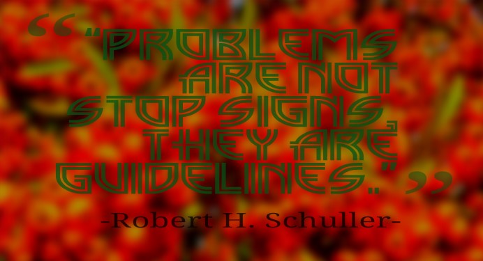 robertschullerquote