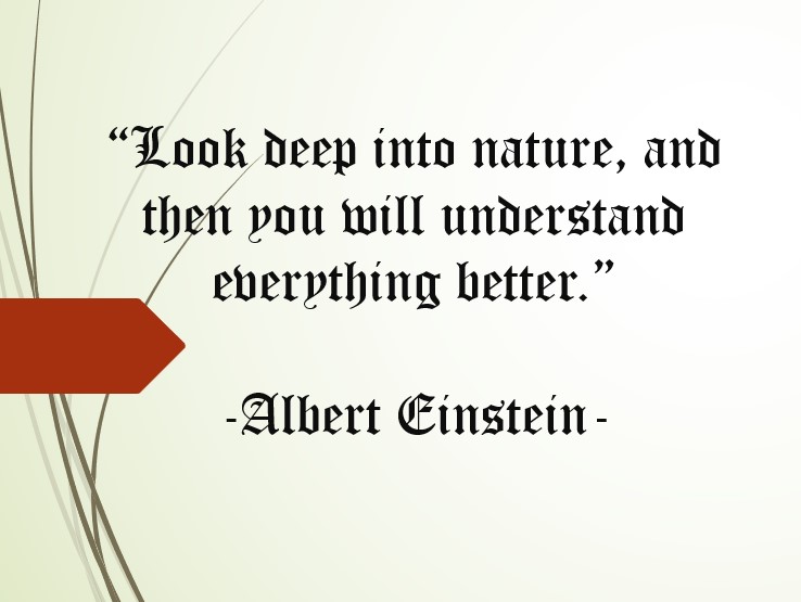 einsteinquote