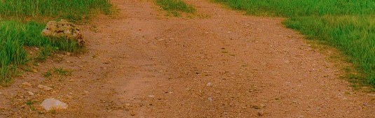 dirtpath