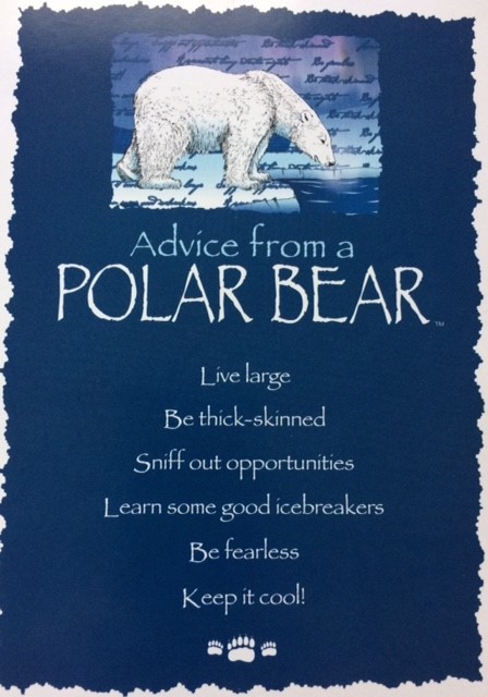 polarbear