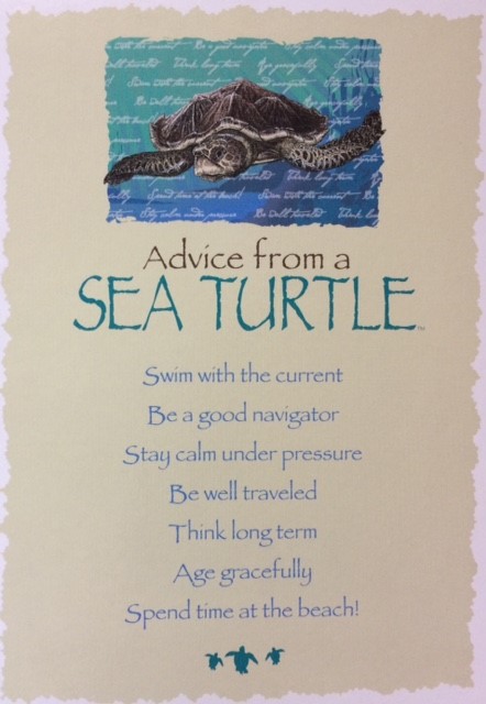 seaturtle