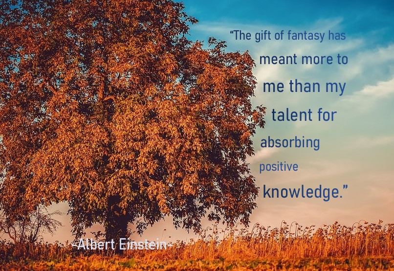 einsteinquote